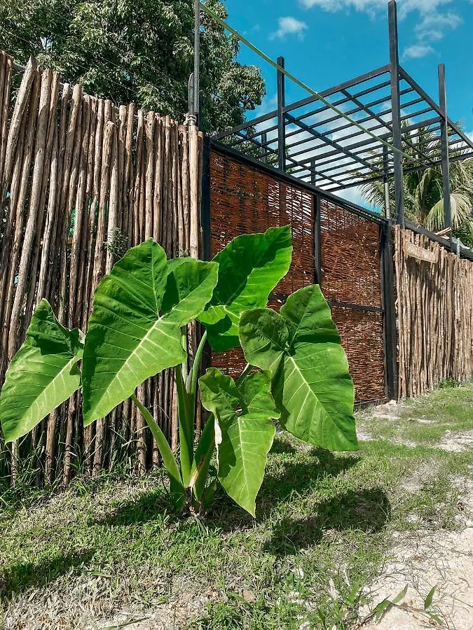Campsite Mangata Bacalar Hotel Mexico