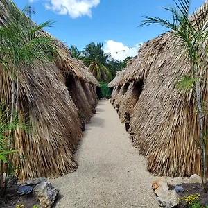  Campsite Hakuna Matata Glamping